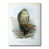 Wrapped Canvas
