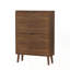 Armoire à chaussures indépendante médiévale moderne