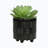 Yamili Ceramic Pot Planter
