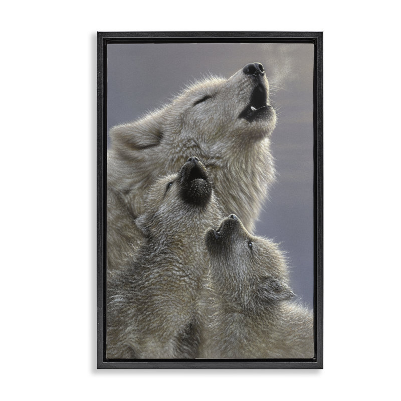 Cadre flottant Singing Lessons White Wolves, conception par Collin Bogle, Cadre flottant noir de jais, H 25 po x l 17 po