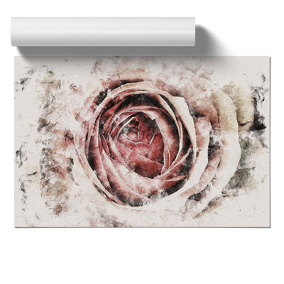 Pink Rose Flower Watercolour - Frameless Print
