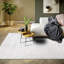 Area Rug-110998104