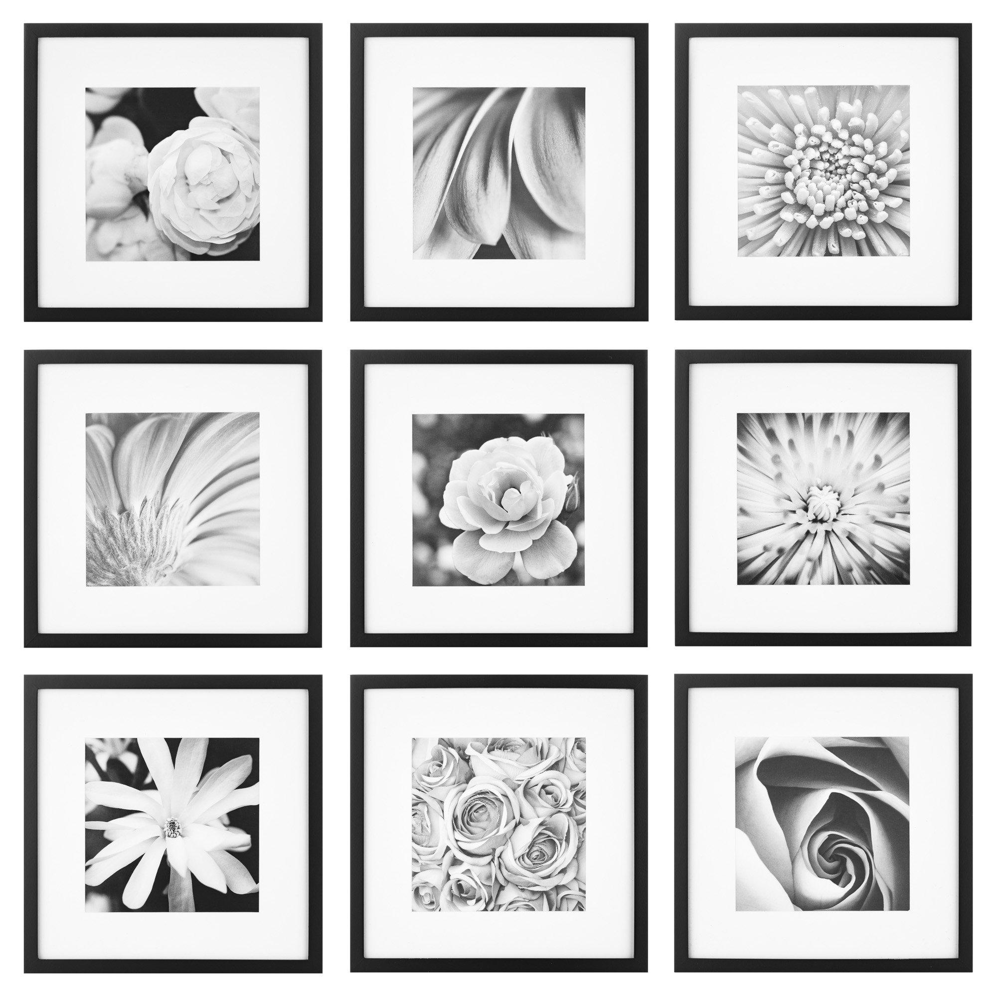 Gallery Perfect 12" x 12" Hanging Wall Wood Matted Picture Frame Kit - 9 Piece Set - Black