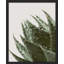 «Green Cactus Succulent Raindrop Water Droplet» sur papier-98266121-98266120