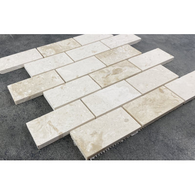 Carreau de mosaïque en travertin 2 po x 4 po Shellstone