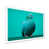 White Single Picture Framed