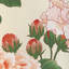 Gardenia Print-954857657