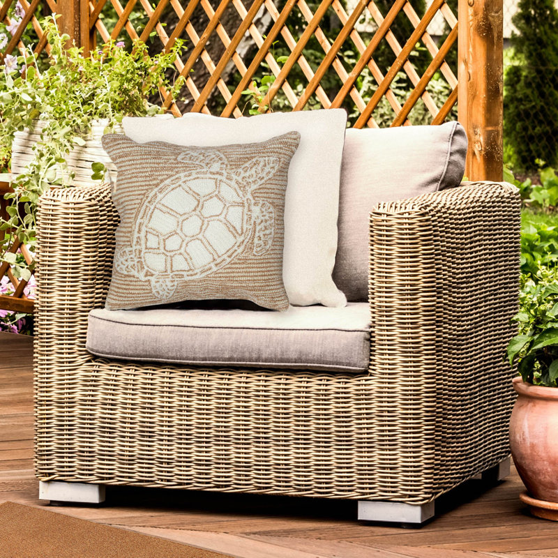  Turtle Indoor/Outdoor Square Throw Pillow, Natural