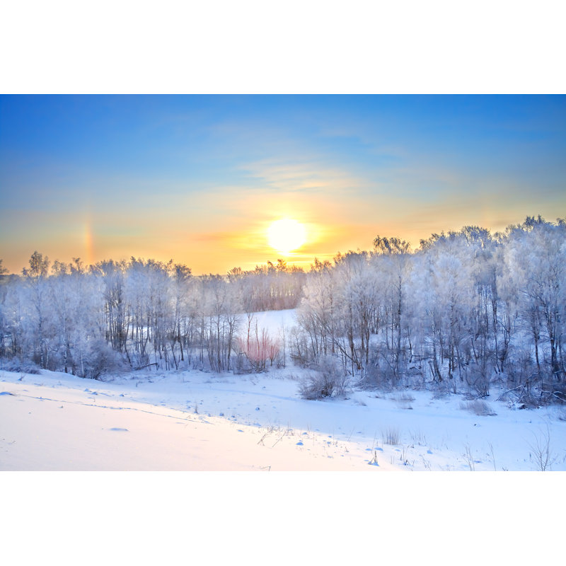 Forsberg Winter Forest At Sunset - Wrapped Canvas Print, 30cm H x 46cm W 3.8cm D