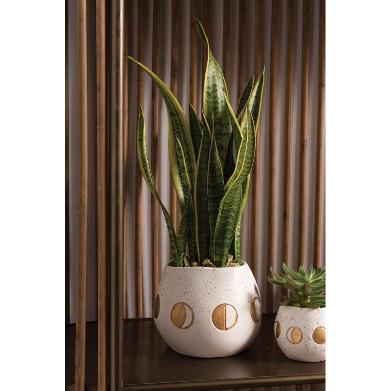 Pot à fleurs en céramique Jaquenetta, H 6,25 po x l 7,75 po x P 7,75 po
