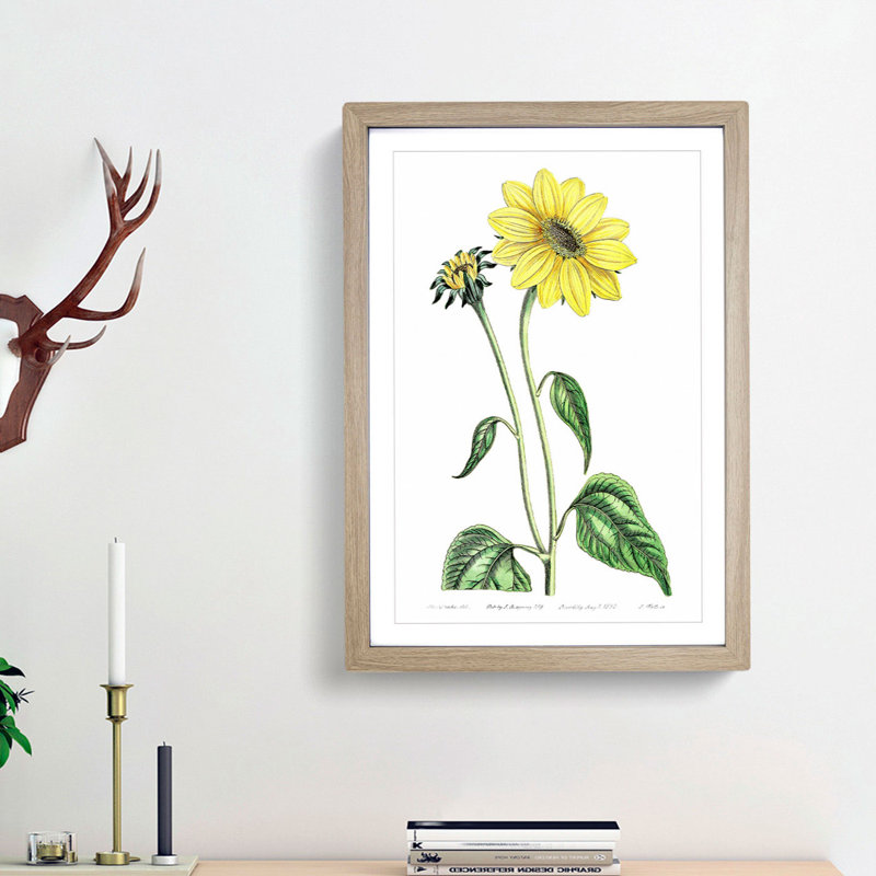 Trumpet Stalked Sunflowers - Framed Print, 48cm H x 36cm W x 2cm D, Oak Framed