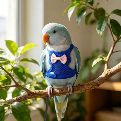 Polyester pets leash Bird Ties Leash For Parrots Escape Proof Outdoor Walking Vests For Cockatiel Budgie Adjustable Pet Bird Flight Jacket Breathable Ties For Bird