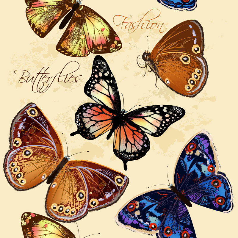 Butterflies Wallpaper - Wrapped Canvas Print, 122cm H x 122cm W x 3.8cm D