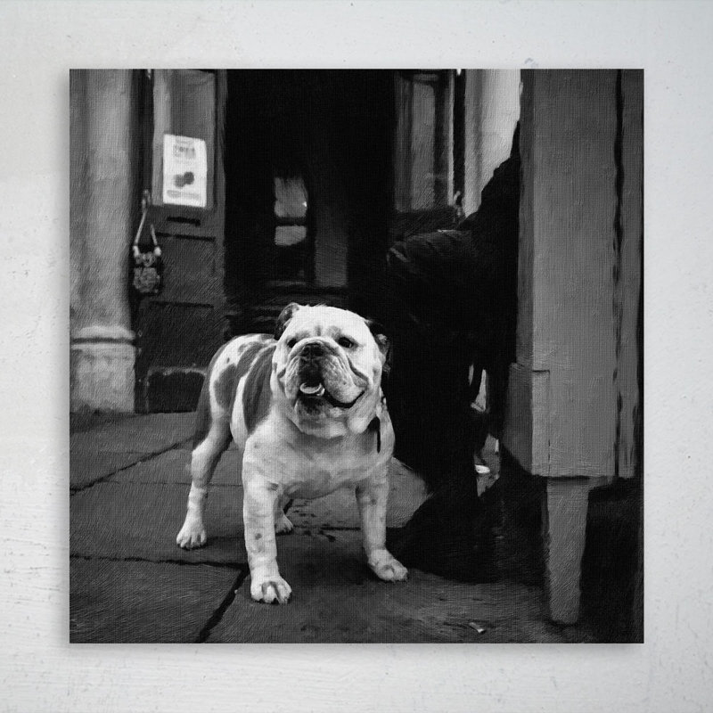 «Grayscale Photo Of English Bulldog», reproduction d'art graphique sur toile tendue, H 12 po x l 12 po