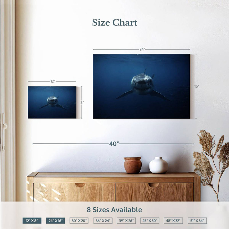 Brampt Shark Stalking, 16" H x 24" W