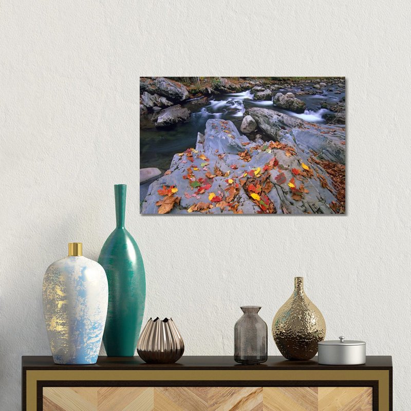 Little Pigeon River, Great Smoky Mountains National Park, Tennessee by Tim Fitzharris - Gallery-Wrapped Canvas Giclée on Canvas