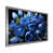 Silver Single Picture Framed