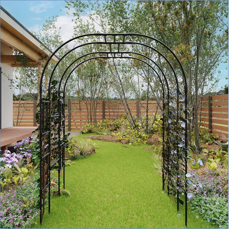 220cm H x 150cm W Metal Arched