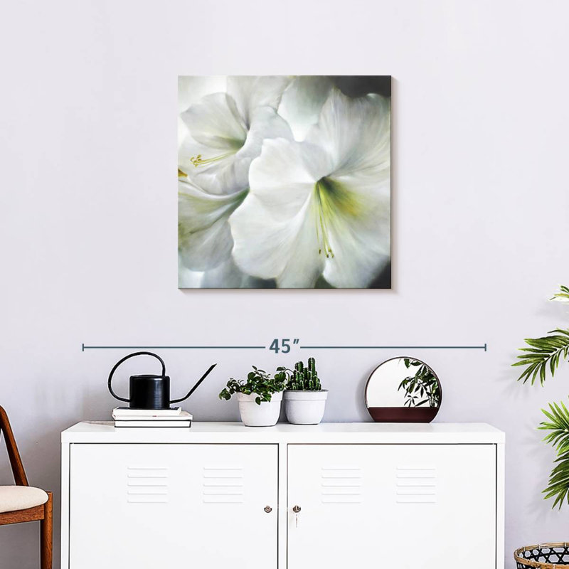 Harnek White Amaryllis II