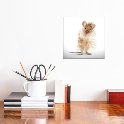 Fabuleon: Feather Mouse by Spielsinn Design - Gallery-Wrapped Canvas Giclée on Canvas