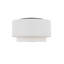 Sawyer 3 - Light Flush Mount-1790167698