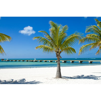 Palm trees on the beach