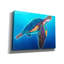 «Sea Turtle - Rainbow» par Dawg Painter-1092940337