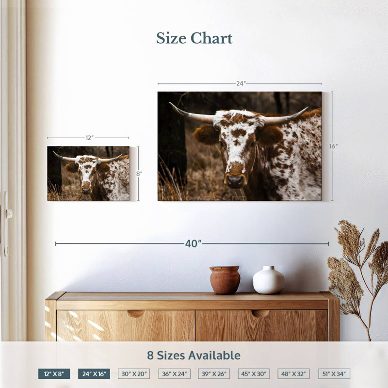 Brampt Longhorn Bull, 16" H x 24" W