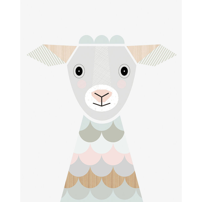 Lamb - Wrapped Canvas Print