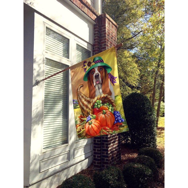 Drapeau de maison Hvidovre Sheltie Halloween en polyester à 2 faces 3 x 2 pi, Basset hound automne