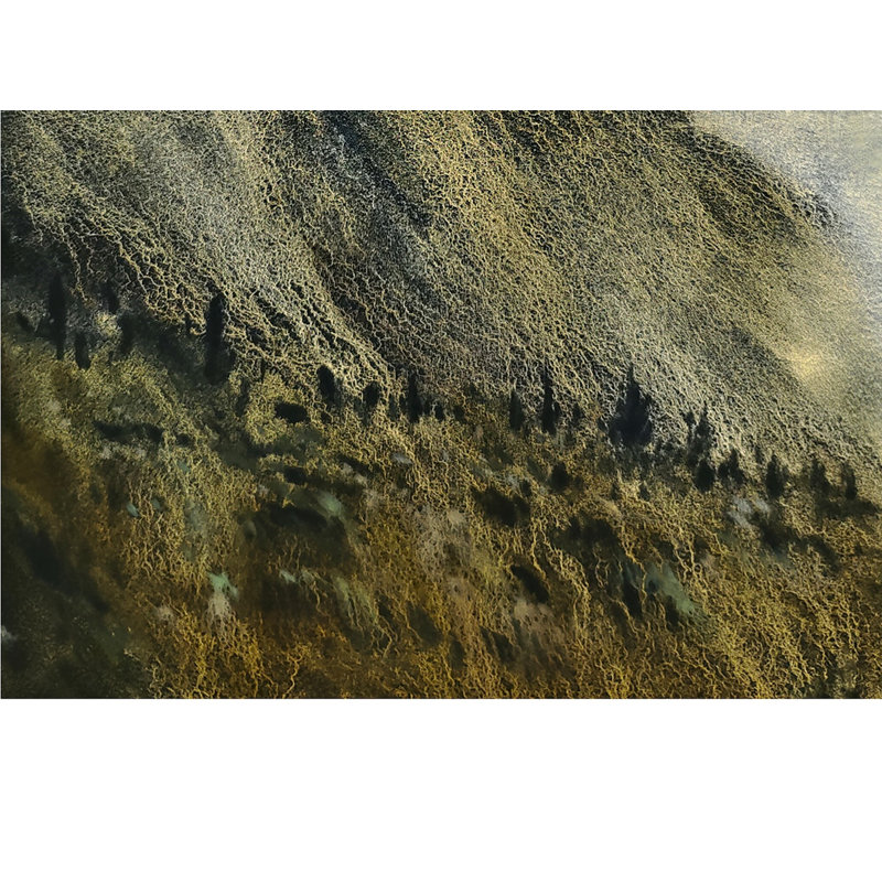 «A New Day», peinture à l'aquarelle | Aquarelle sur papier | Décoration murale