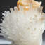 Scolecite on Stilbite du quartier de Nasik, Maharashtra, Inde (284,1 grammes)