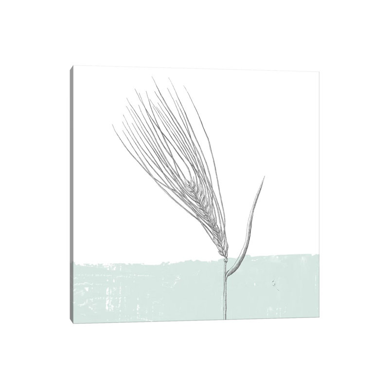 Barley by Sarah Adams - Wrapped Canvas Painting, 45.72 cm H x 45.72 cm W