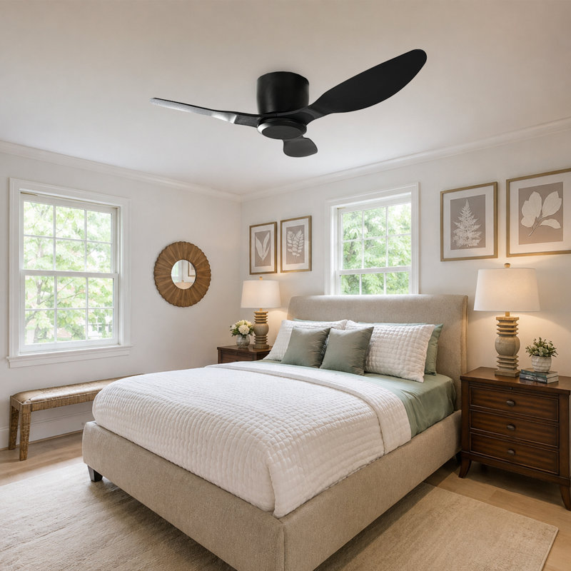 Ceiling Fan