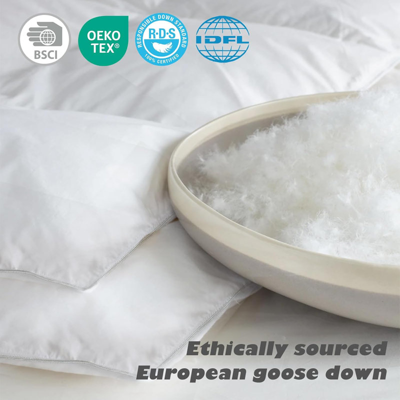 All Season Goose Feather Down Duvet Insert Fluffy Warmth Breathable Bed Comforter, Queen