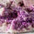 Vesuvianite from Jeffrey Mine, Asbestos, Quebec, Canada