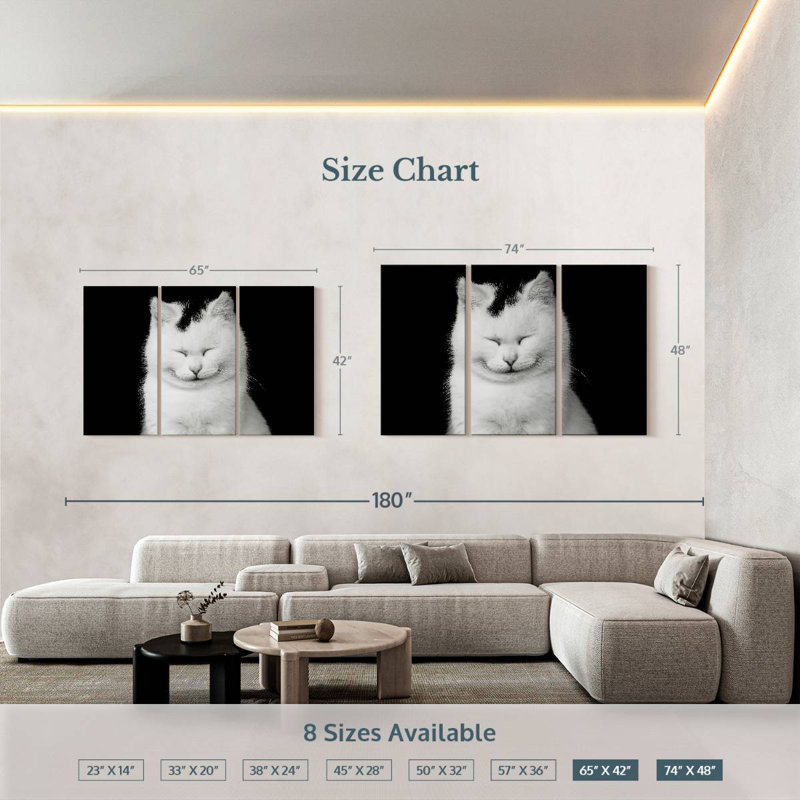 Delighted White Cat, 42" H x 65" W