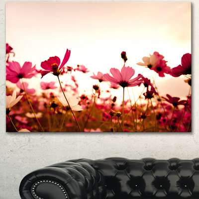 « cosmos florals on rose background », reproduction de photo sur toile tendue