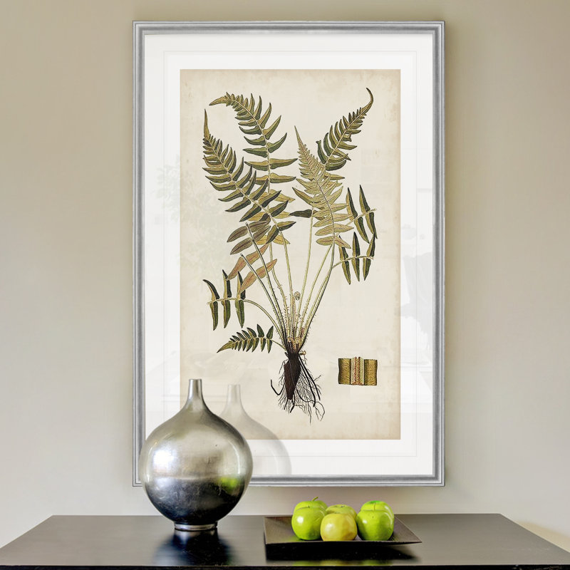 « palm botanique iv »-impression sur toile, H 18,5 po x l 24,5 po x P 1,5 po, Cadre argenté