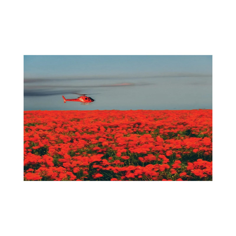 A Red Helicopter Flies Over A Poppy Field In Bloom by Ievgeniia Bidiuk - Gallery-Wrapped Canvas Giclée on Canvas