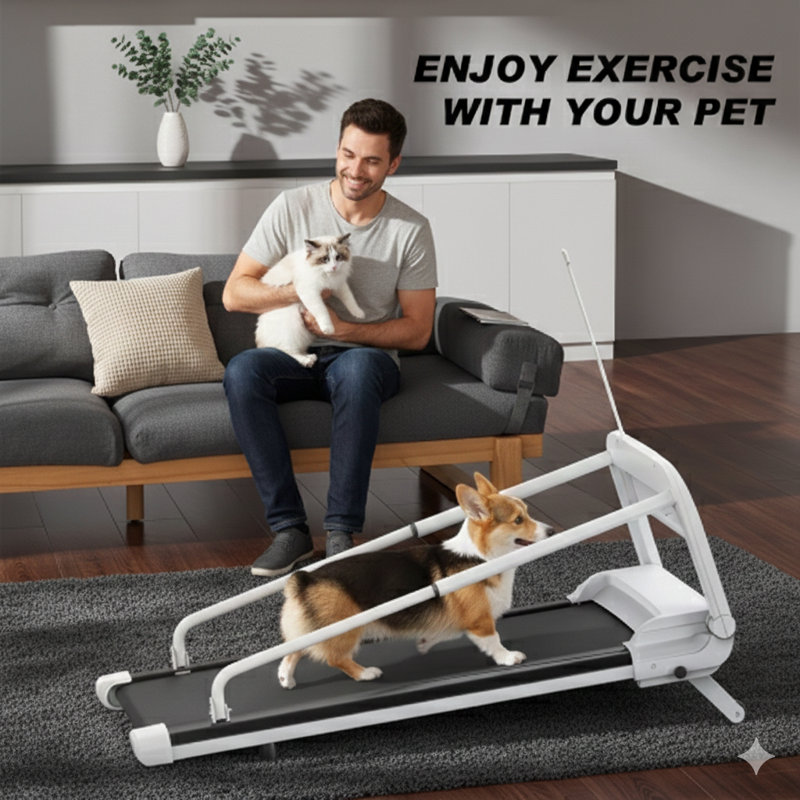 Intelligent Pet Treadmill, 2025 Release, Operates Quietly with Variable Speed Control, Ideal for Small to Medium Canines