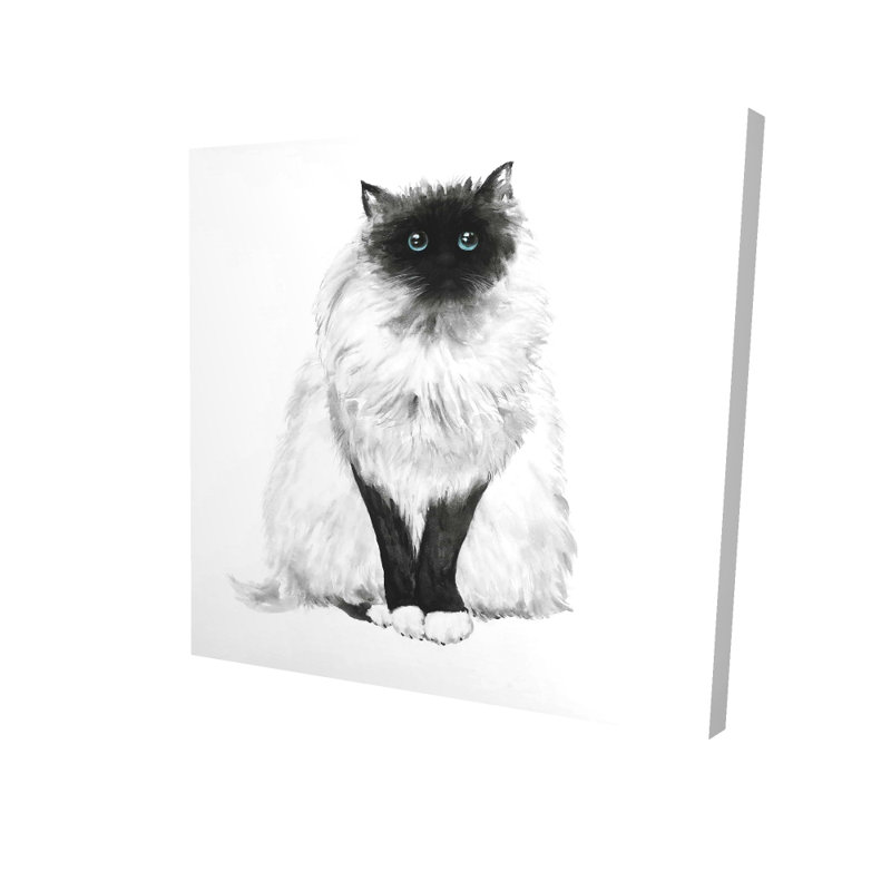 Toile chat bleu siamois aux yeux bleus | Art mural Home Decor