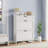 2Drawer Shoe Cabinet-117293101