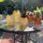 Photos des clients 5 de 6