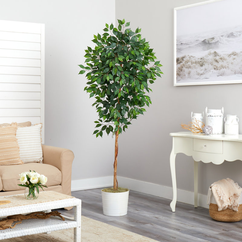 72'' Faux Ficus Tree in Metal Planter, White