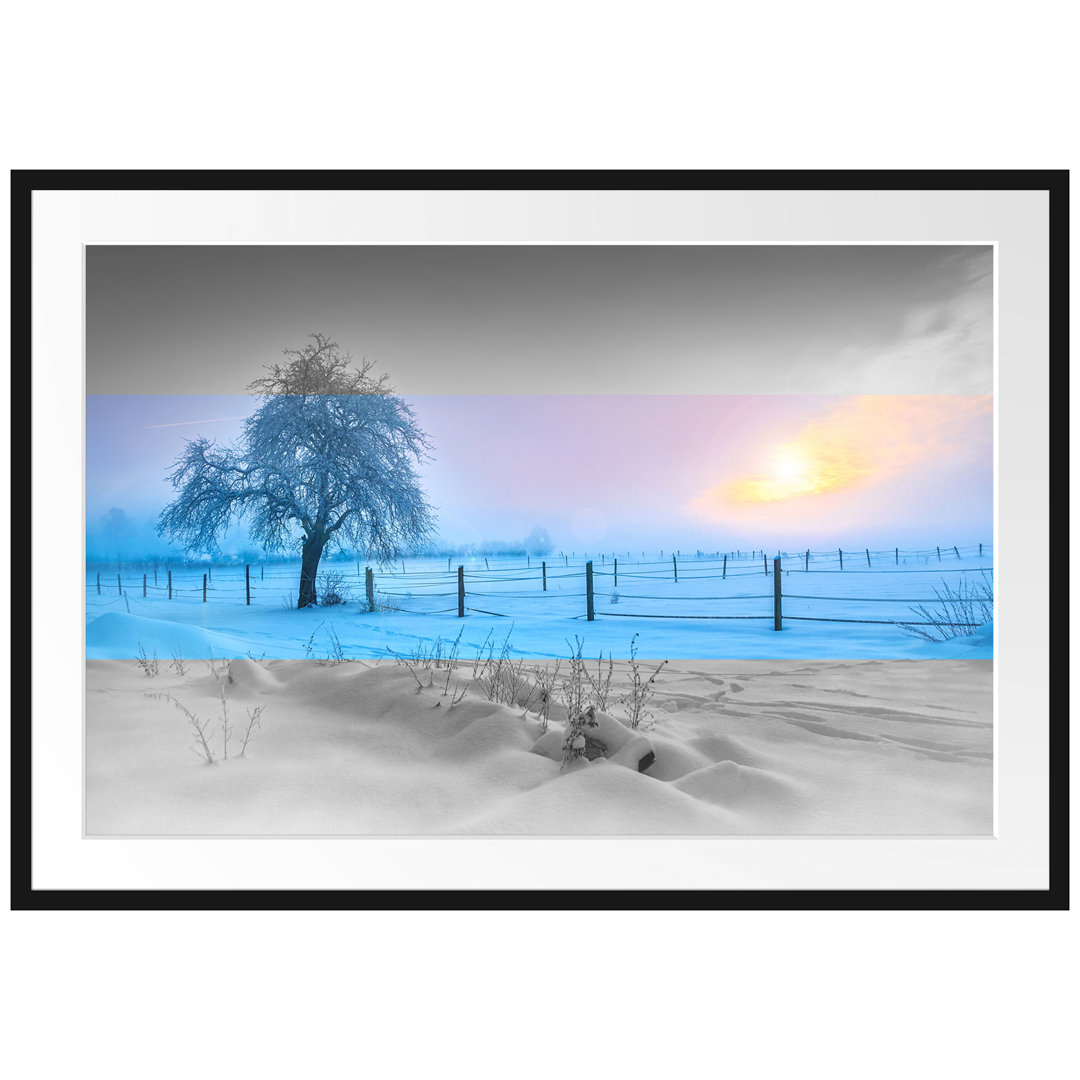 Baum in Winterlandschaft Gerahmtes Poster