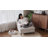 English Classic Roll Arm Chair-1127141683-1128980310-1136986570