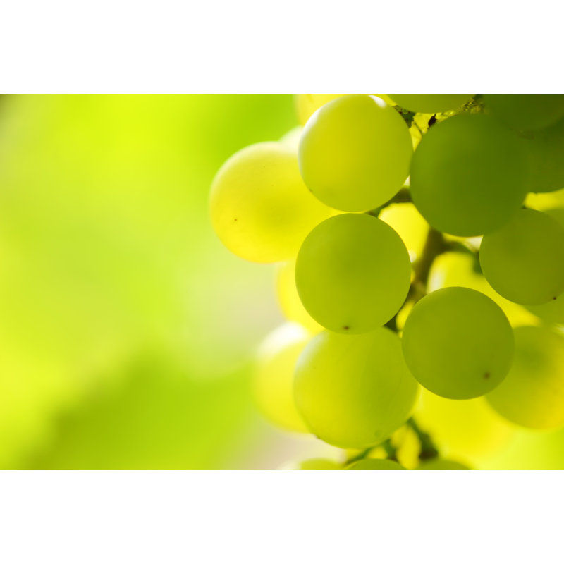Sunny Grapes - Wrapped Canvas Print, 30cm H x 46cm W