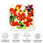 Fantaisie florale bolognaise-98044250