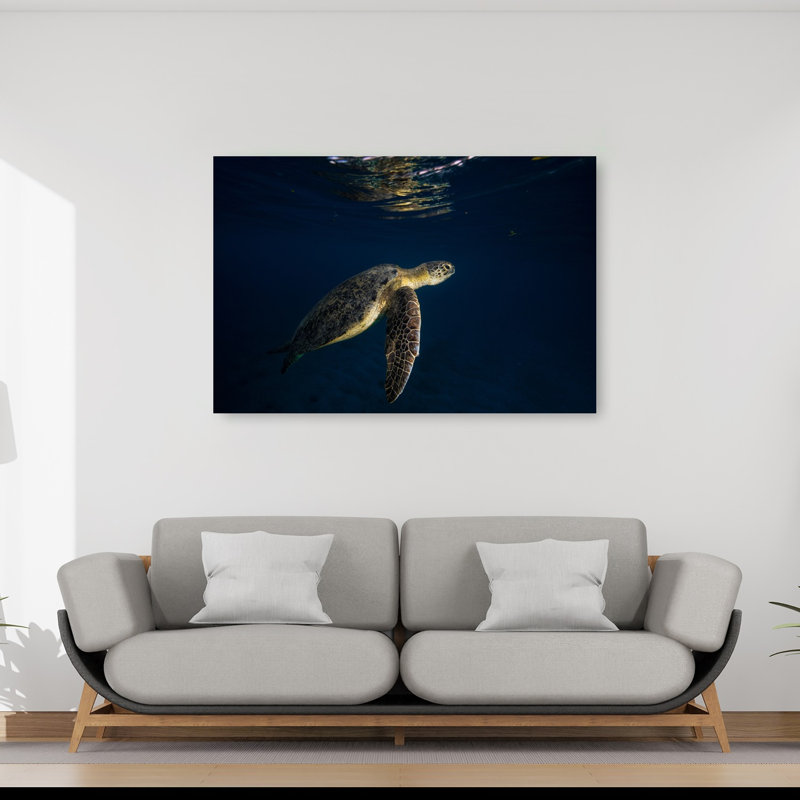 Graceful Sea Turtle Swim Peaceful Serene Tranquil Turtle Nature Ocean Wall Art Print 1 Piece Wrapped Canvas Wall Art